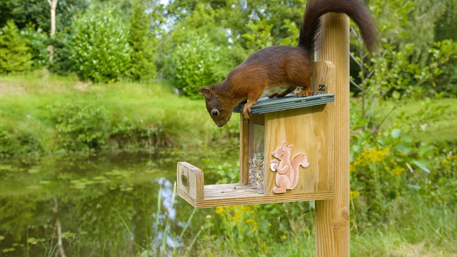 dobar Eichhörnchenfutterstation - Eichhörnchen Futterhaus Massivholz - Futterbox zum Eichhörnchen füttern - Futterstelle zum Eichhörnchen füttern Nüsse/Kerne/Früchte - 16 x 23 x 22 cm - Grün