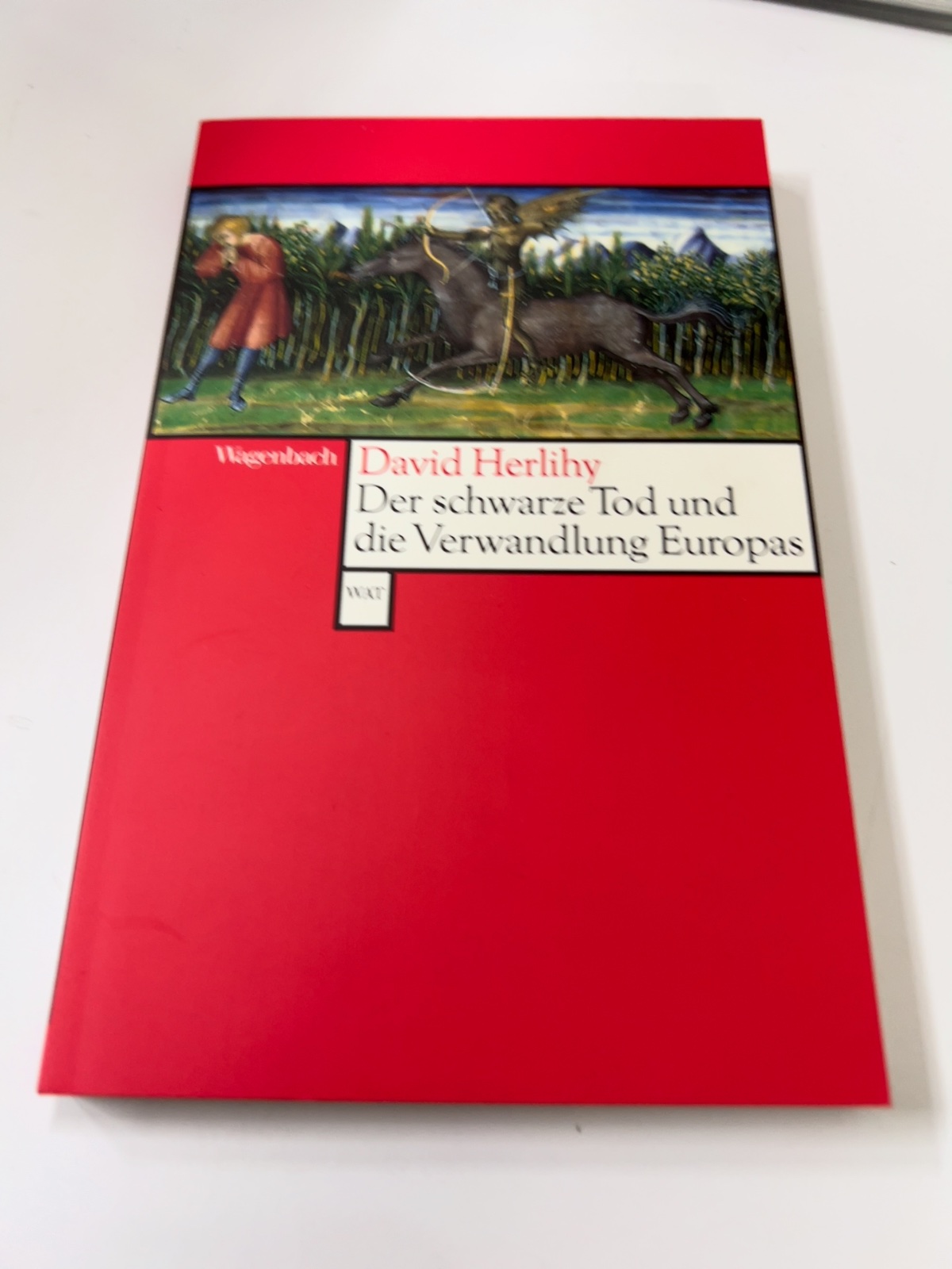 Buch, Roman, Historischer Roman, Bildnis, Cover rot