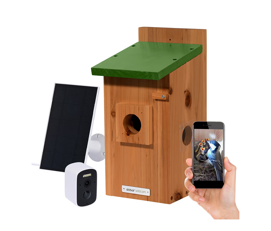 birdhouse, holz, grüne dachabdeckung, solarpanel, kamera sensor