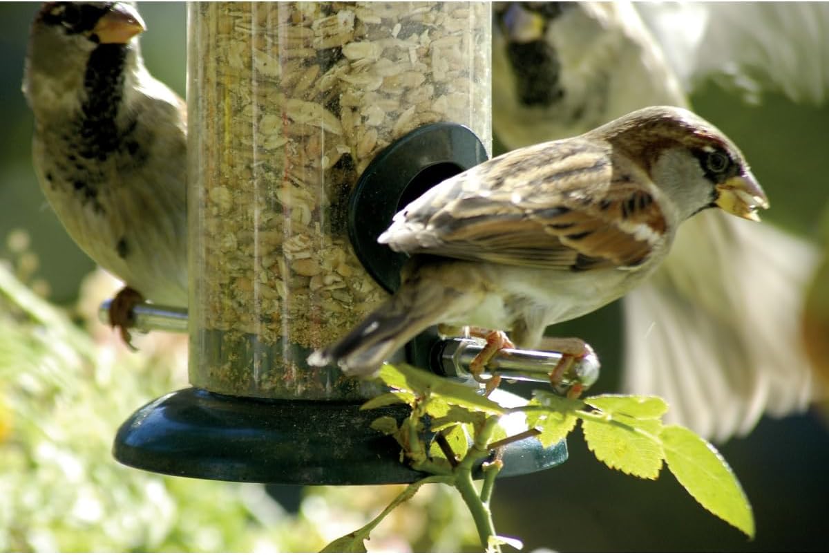 dobar Kompakte Vogelfuttersäule mit Anflugstangen - Wildvogelfutterspender für Sämereien - Vogelfutterstation Metall - Futterspender in Garten/Terrasse/Balkon - Ø 9,5 x 23 cm - Grün