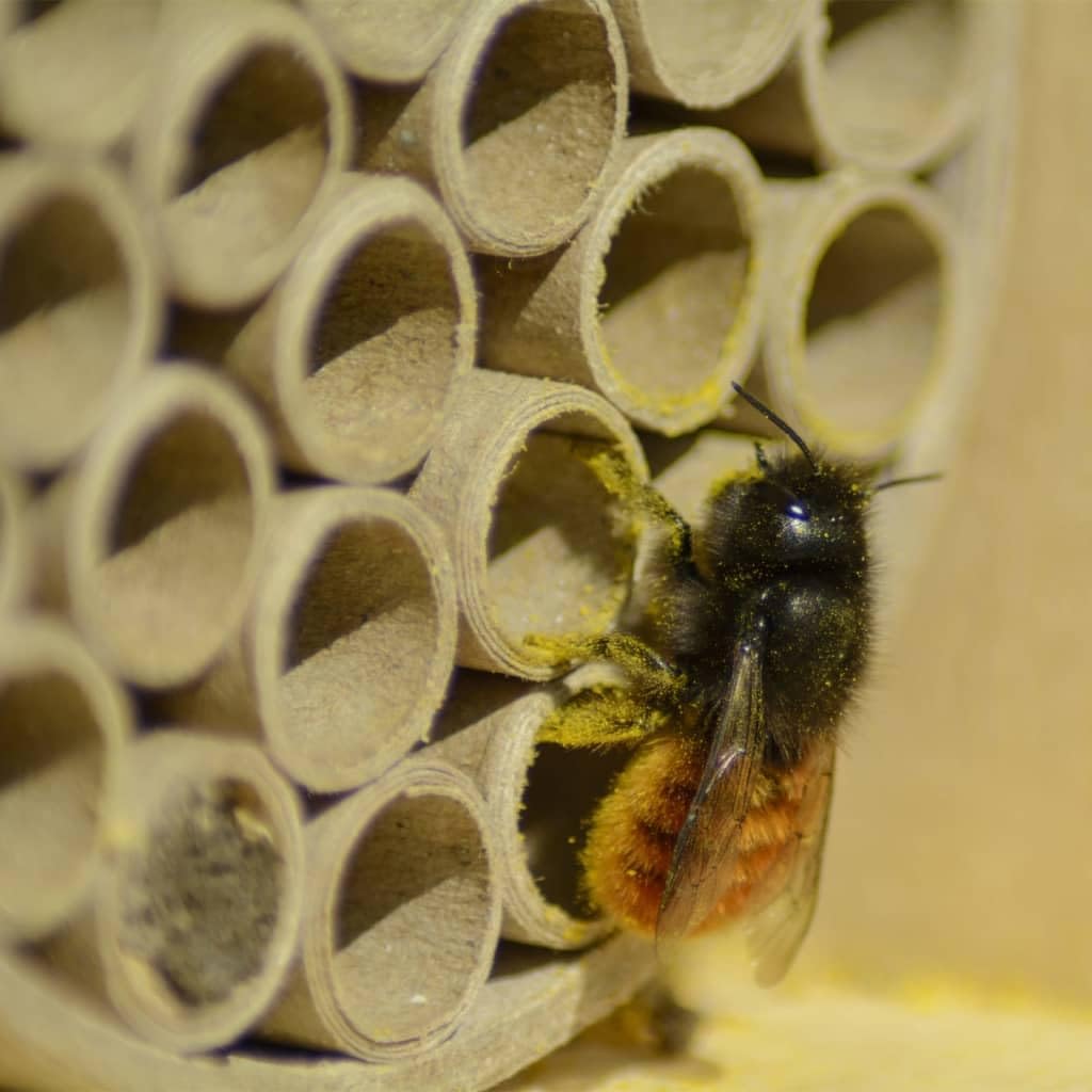 Dobar Wildbienenhotel Bienenhaus aus Holz Insektenhotel #D374