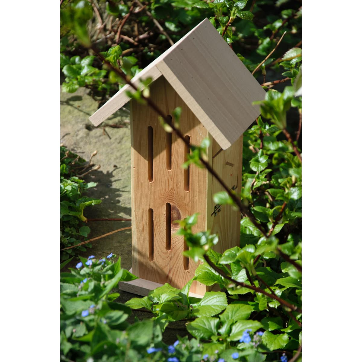 Dobar Schmetterlingshaus Sonnenfalter Natur Zitronenfalter Admiral Insektenhotel