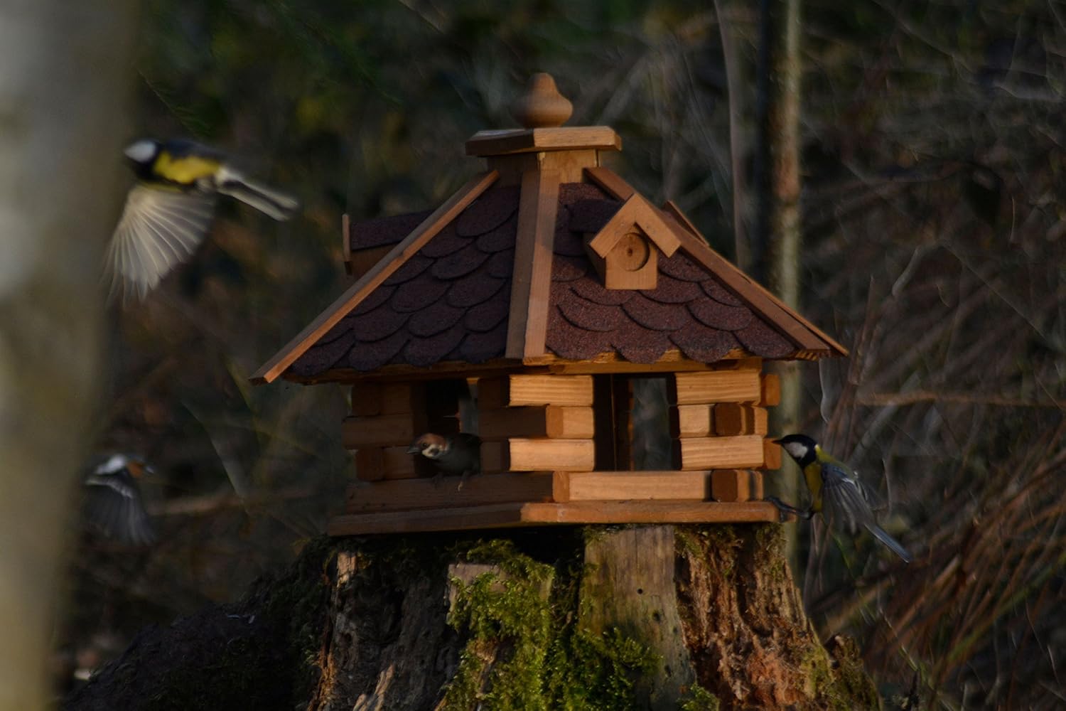 dobar Vogelfutterhaus Bitumenschindeldach 6-eckig Vogelhaus Vogelfutterstation Futtersilo Vogelvilla rot