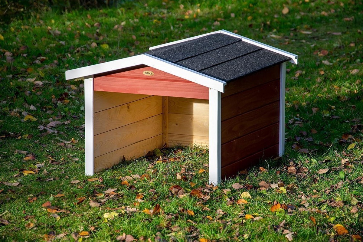 Hundehütte, Schutzhaus, Holzhaus, Garten, Roter Akzent