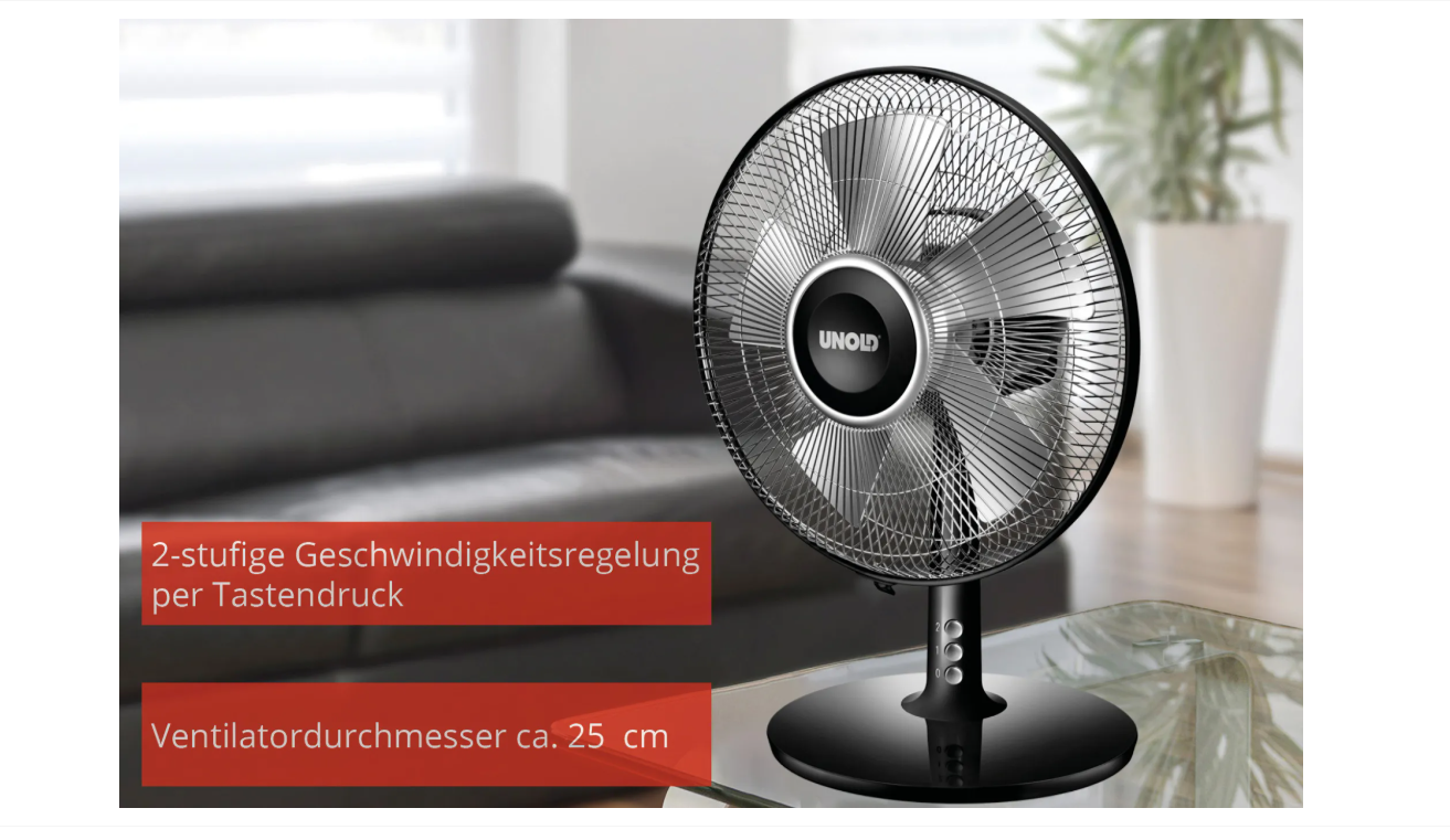 Unold Silverline Tischventilator 25 cm Schwarz/Silber 25 W mit Tragegriff
