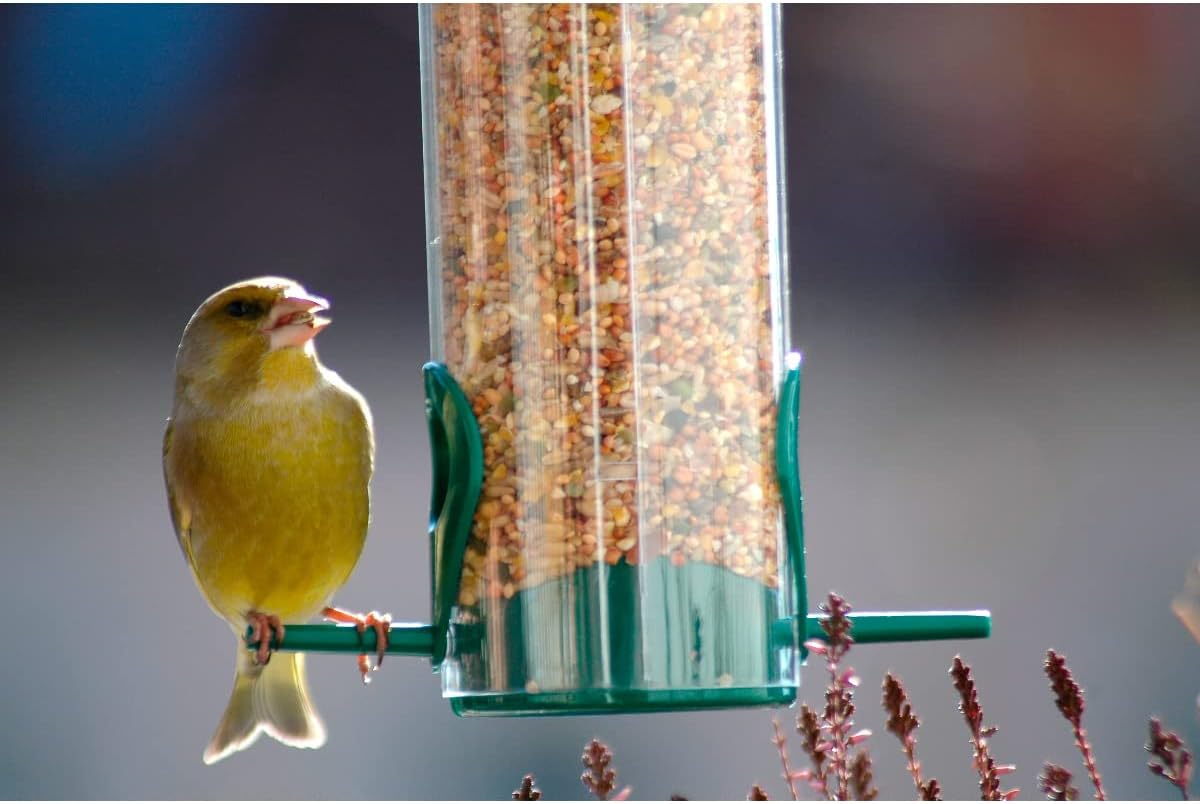 Dobar Vogel Futtersäule mit Anflugstangen hängend Wildvogelfutterspender