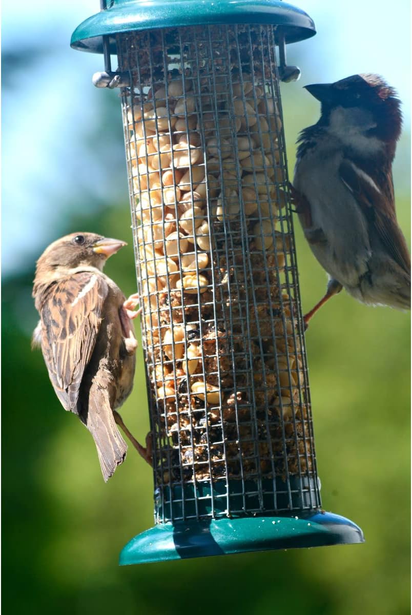dobar Kompakte Vogelfuttersäule mit Anflugstangen  Wildvogelfutterspender für Nüsse - Vogelfutterstation Metall - Futterspender für Vögel in Garten/Terrasse/Balkon  Ø 9,5 x 23 cm - Grün