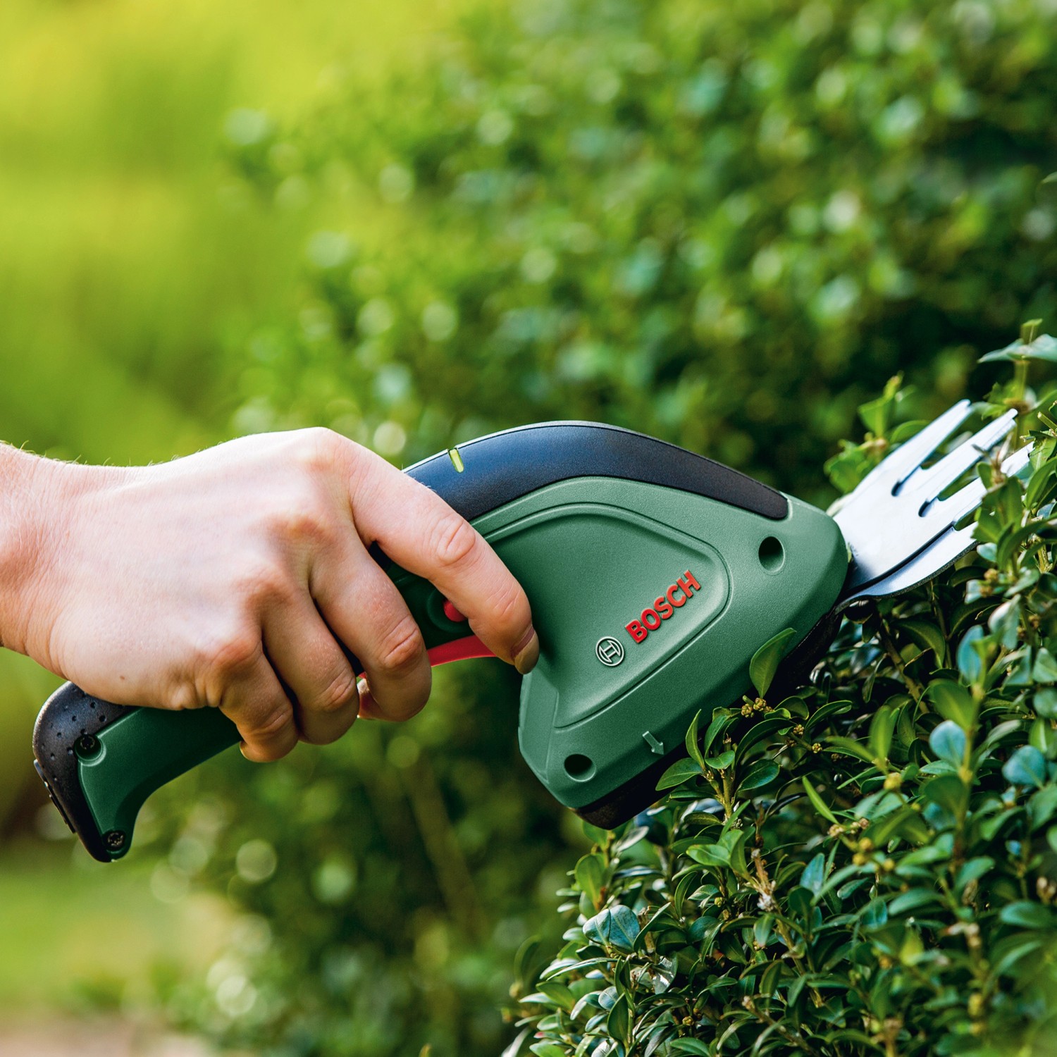 Bosch Akku Gras und Strauchschere EasyShear