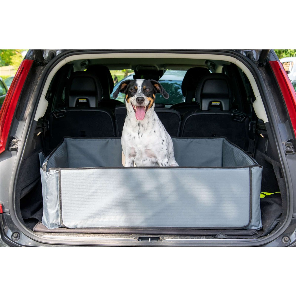 Hund, Auto, Kofferraum, Transportbox, Hundebox