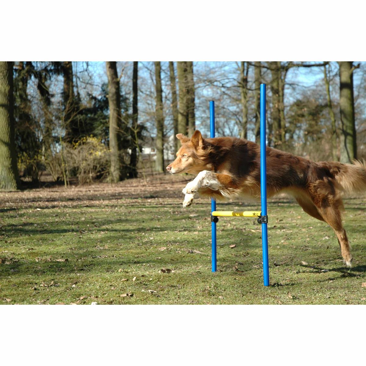 Dobar 3-teiliges Agility Hürden & Sprung-Set Hundesport