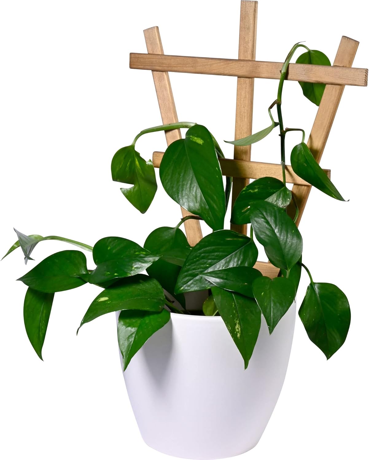 dobar Dekorative Blumentopf-Rankhilfe Positano 4er-Set Rankgitter Pflanzstütze