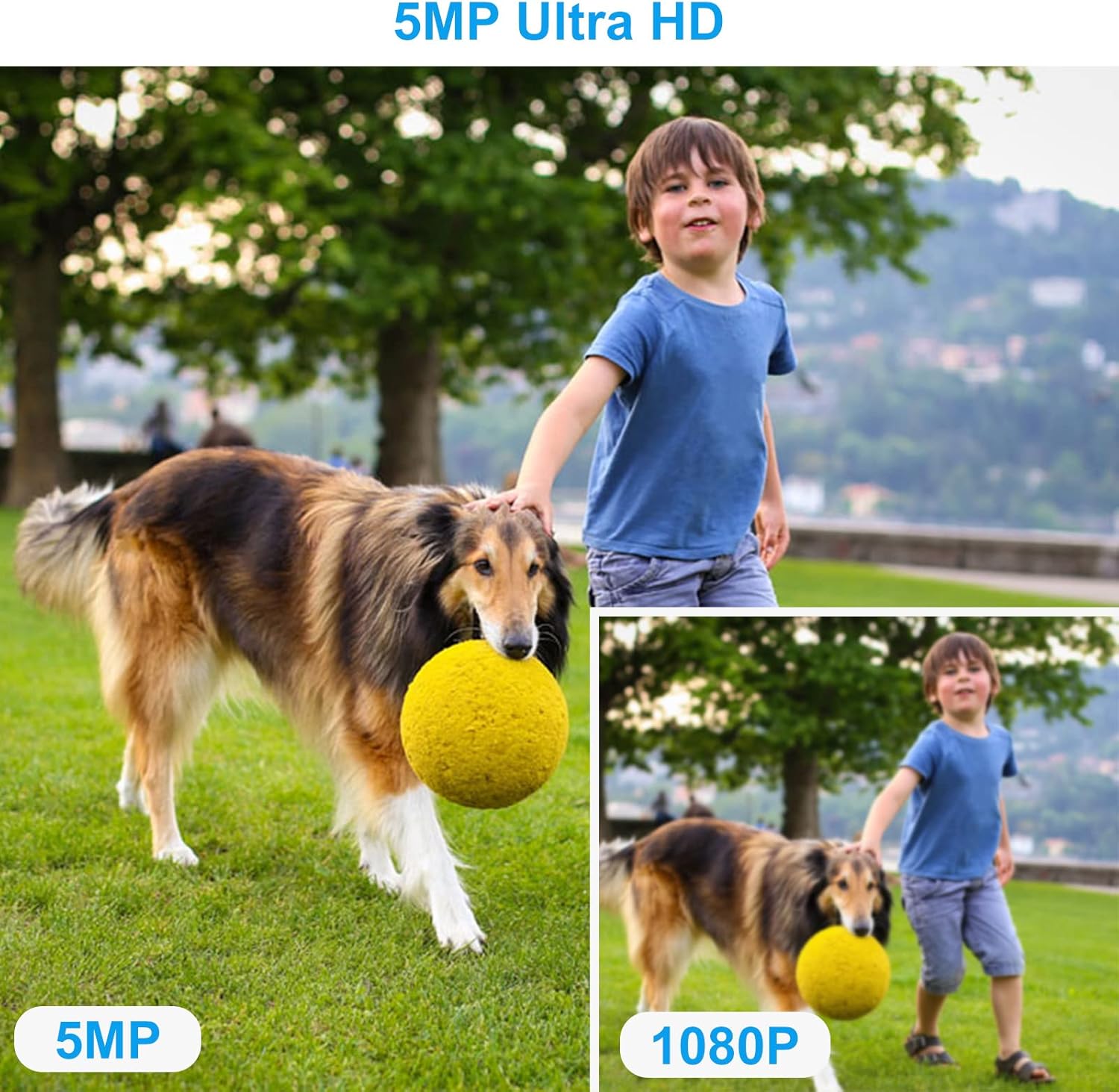 Anpviz Überwachungskamera Aussen WLAN 5MP PTZ IP Outdoor