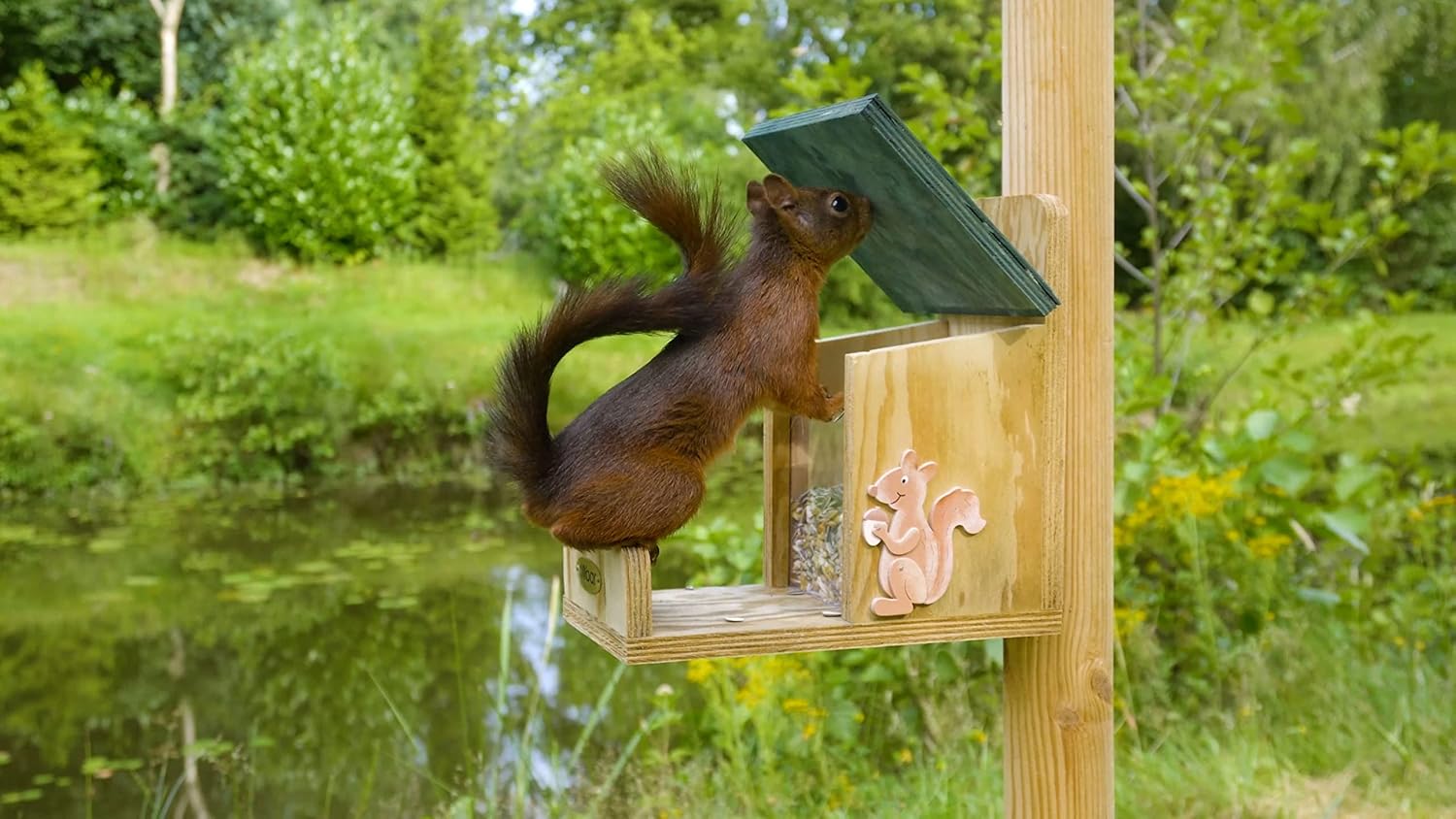dobar Eichhörnchenfutterstation - Eichhörnchen Futterhaus Massivholz - Futterbox zum Eichhörnchen füttern - Futterstelle zum Eichhörnchen füttern Nüsse/Kerne/Früchte - 16 x 23 x 22 cm - Grün