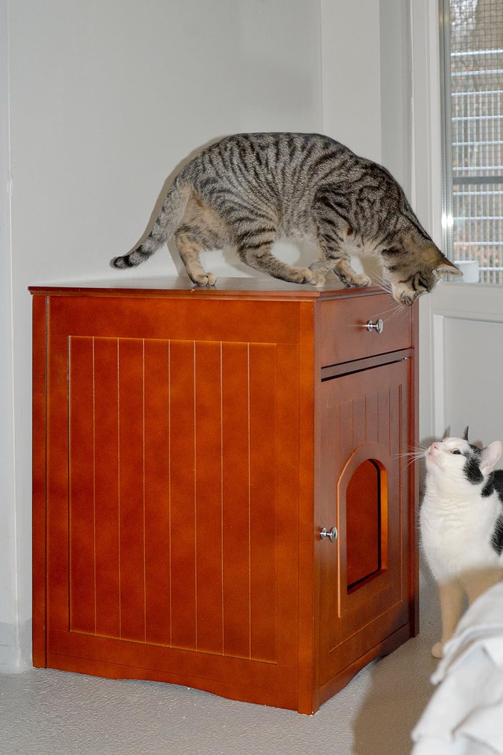 Katzen, Katzenmöbel, Kratztonne, Holzmöbel, Wohnzimmer