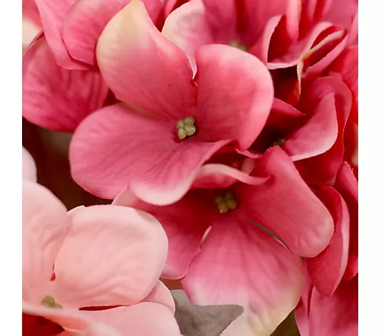 pink, blumen, blüten, hortensie, blüte